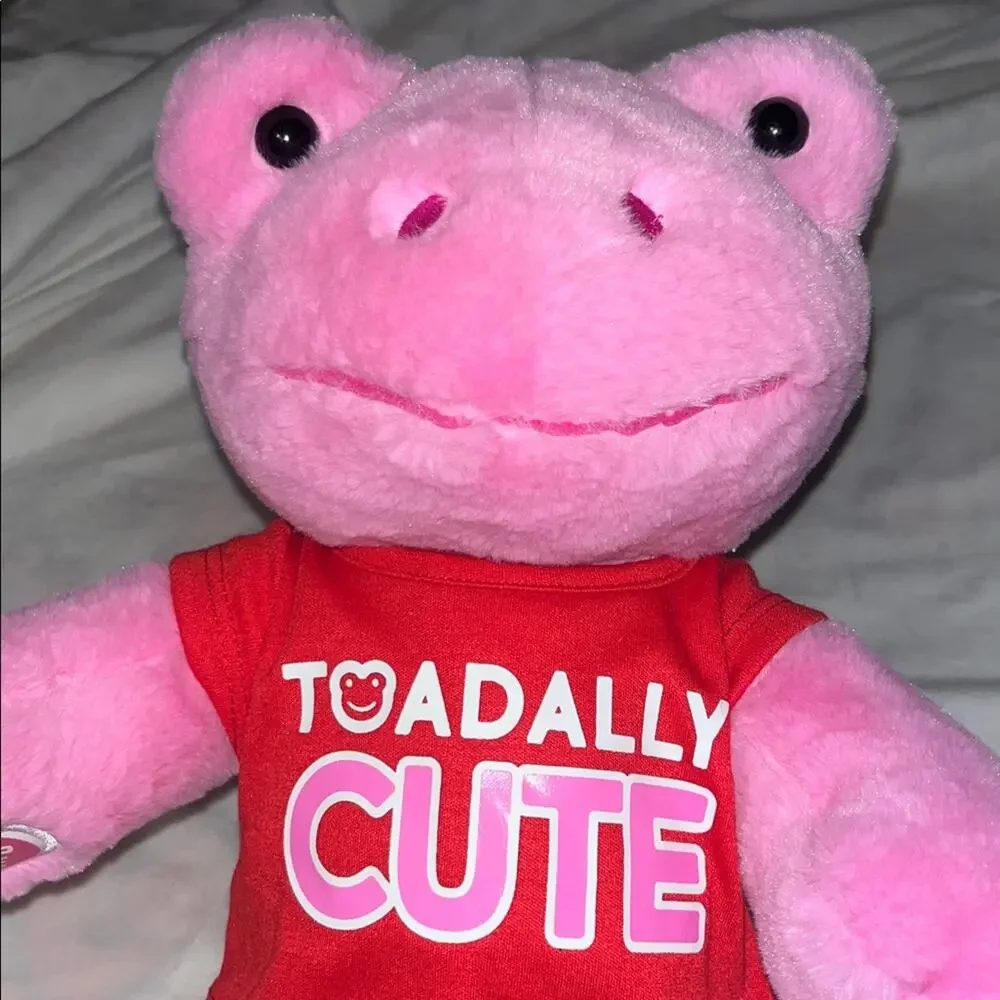 Build A Bear Pink Spring Frog with Pajama Heart Valentines Outfit NWOT